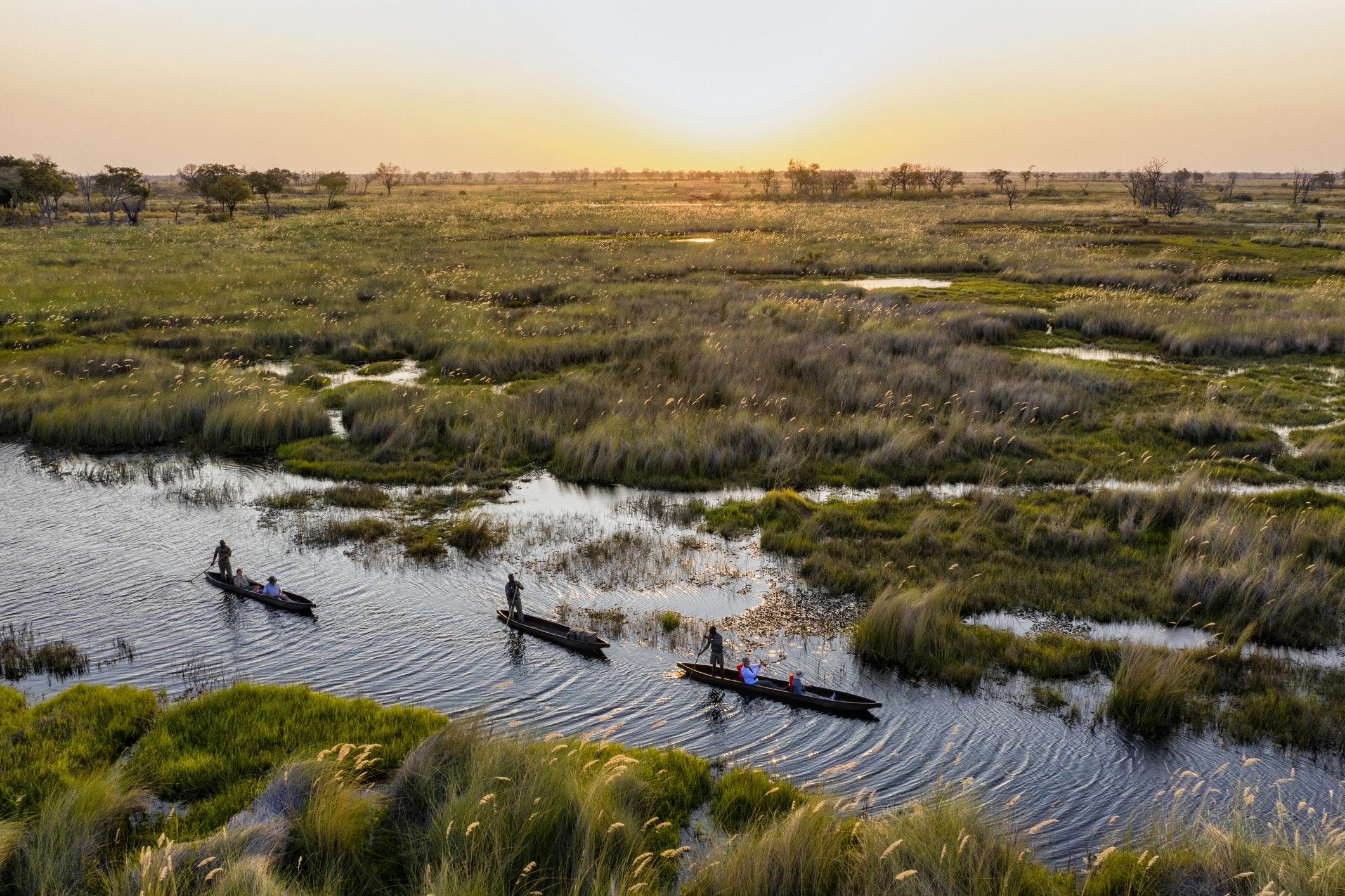 Visitors in mokoro canoes on are paddled along in a flooded grassland 