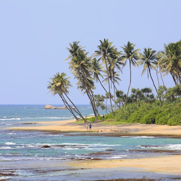 Sri Lanka, Galle, Lighthouse Hotel, Palm trees on beach