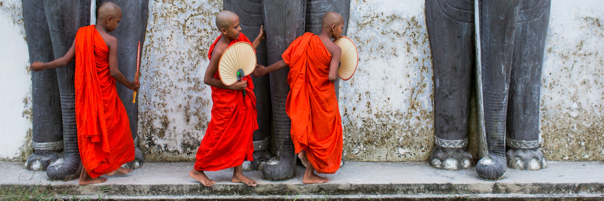 Novice monks feeding monkeys outside temple.  Sri Lanka.